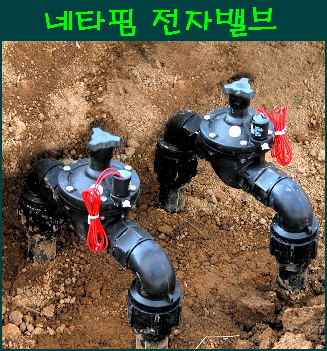 네타핌 전자밸브 25mm AC24V전용