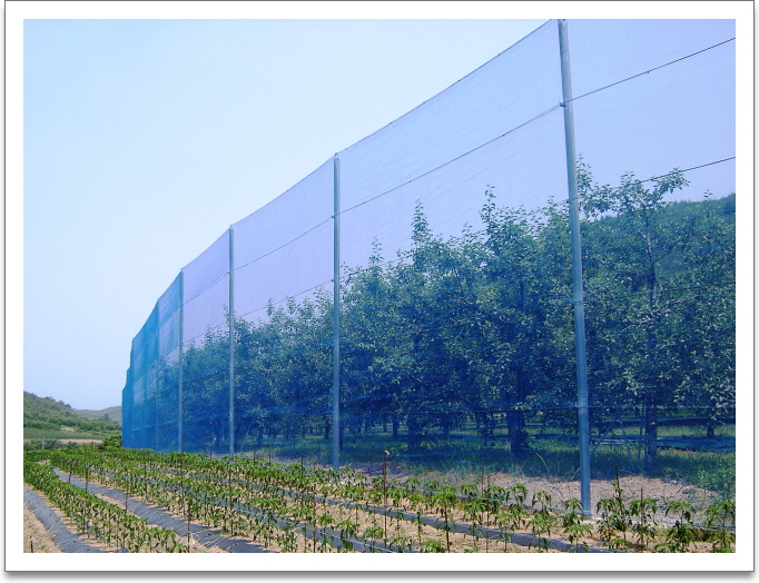 방풍.방충망 2.5m x 100m