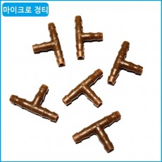 마이크로 정티